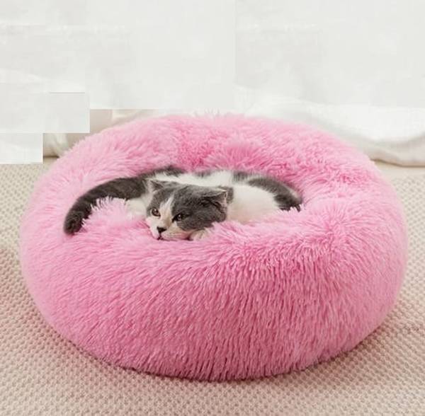 Zexsazone The round donut pet bed is perfect for indoor cats and puppies winter, Summer M Pet Bed