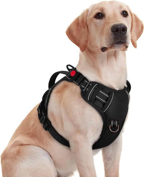 Pawxie Dog Chest Belt Harness | Comfortable & Adjustable Size For 35+ Kg Pet Dog Standard Harness