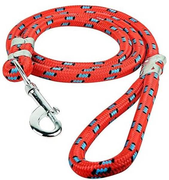 sachi sports Dog Collar & Leash