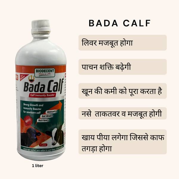 Bada calf Calf Booster & Calf Growth 1000 ML Big Calf Pet Health Supplements