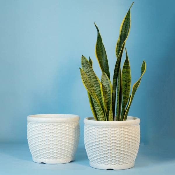 Mrida and Maati 8 Inch pot (WHITE,2 Pcs) Flower Pot for Home, Indoor & Outdoor Gamla, Gardening Plant Container Set