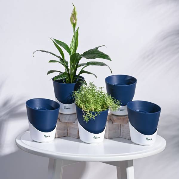 UGAOO Atlantis Self Watering Midnight Blue Planter - 4 Inch (Set of 5) Plant Container Set