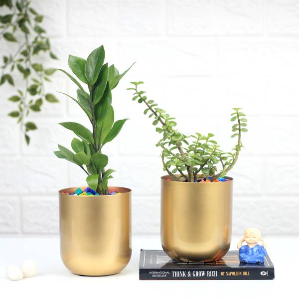 Urban Plant Gold Finish Planter for Living Room Table Decor | Indoor Planter Plant Container Set