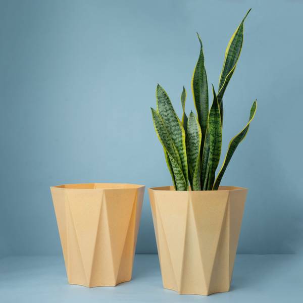 Mrida and Maati 10 Inch pot (Beige,2 Pcs) Flower Pot for Home, Indoor & Outdoor Gamla, Gardening Plant Container Set