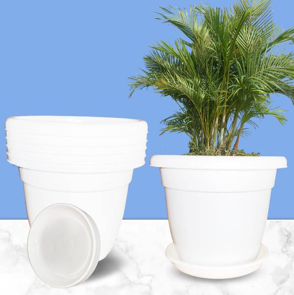 SNSHOPEE (Pack of 6 with Bottom Plate) Premium 10" dia. White Plant Pots Planters Plant Container Set