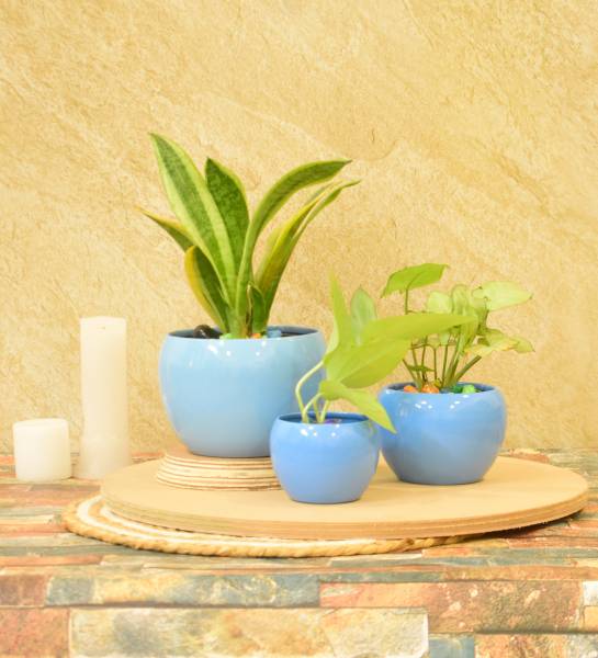 SONE KEY CHIDIYA Desktop Planter/Home/Indoor/Outdoor/Plant Container 5,4,3 inch Combo Set/SkyBlue Plant Container Set