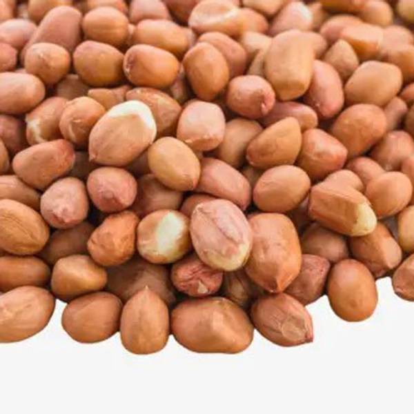 naturehils Peanut Organic Seed, Mumfali Seed - Price History