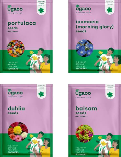 UGAOO Flower Seeds - portulaca, Ipomoea, Dahlia , Balsam Mix Seed
