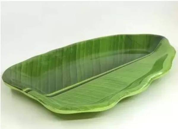 CARNIVAL Meal Plate Dinner Dinner Plate