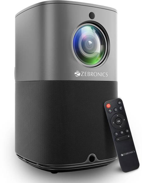Zebronics remote control on sale