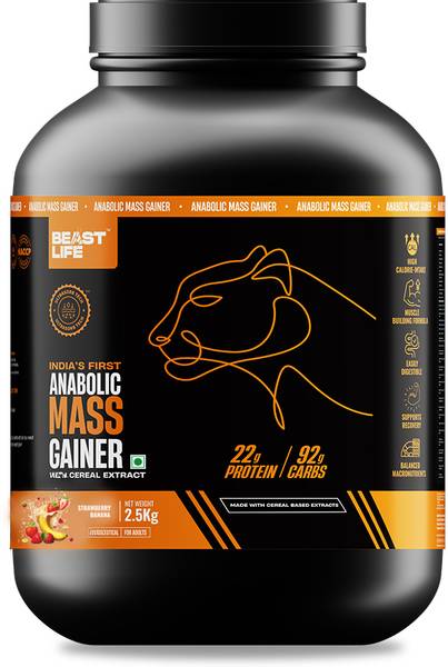 BeastLife High Protein Gainer - No Maltodextrin Weight Gainers/Mass Gainers