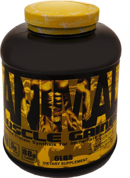 MSN Animal Muscle Gainer |mass gainer | 60gm Protein, 5g Bcaa, Net wt. 2.720 Kgs Weight Gainers/Mass Gainers