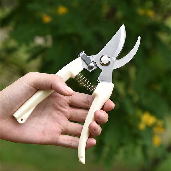 Axteno Garden Sharp Cutter Pruners Scissor with grip-handle Heavy Duty Plant Cutter Garden Sharp Cutter Pruners Scissor with grip-handle Heavy Duty Pl...