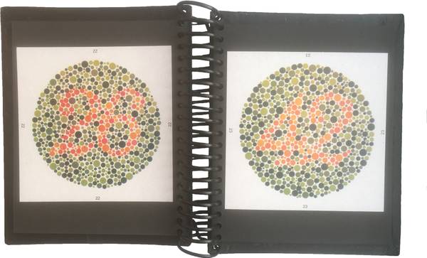 Ishihara's Vision Test For Colour Deficiency Book 38 Plates - Price History