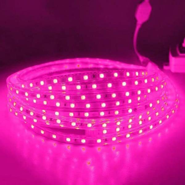inooBeam 1082 LEDs 15.05 m Pink Steady Moon Rice Lights