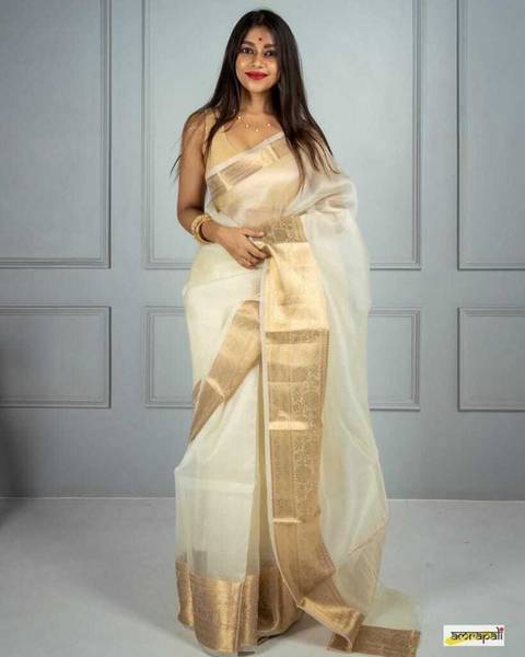 DURGA TEXTILE Printed, Self Design, Embellished, Woven, Floral Print, Blocked Printed Daily Wear Jacquard, Organza Saree