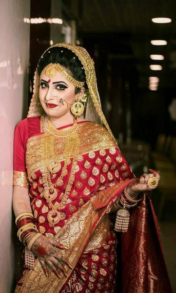 Sijileen Woven, Embellished, Self Design Banarasi Silk Blend Saree
