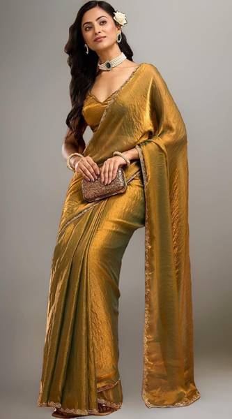 desa sare Embroidered Bollywood Chiffon Saree
