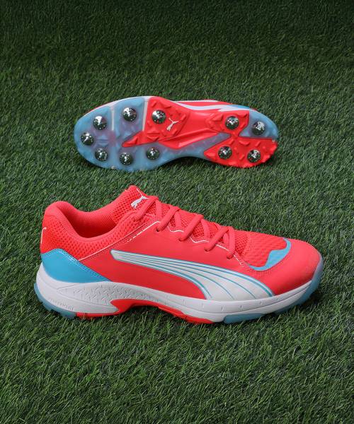 PUMA Spike 24.1 Cricket Shoes For Men