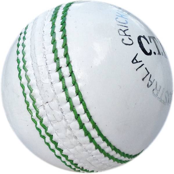 HTM T 20 Cricket Leather Ball