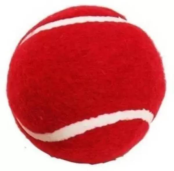 Prakmo Hard Red Cricket Tennis Ball (Weight 110G) Tennis Ball