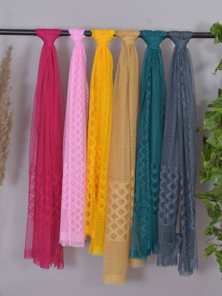 Nakoda Creation Net Self Design Women Dupatta