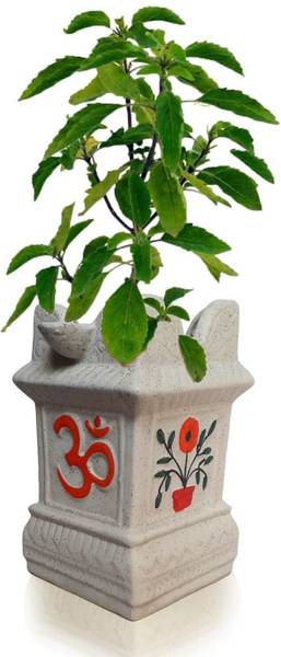 SAZAO Tulsi Ceramic Pot for Tulsi Plant Home Balcony BGBIG Plant Container Set