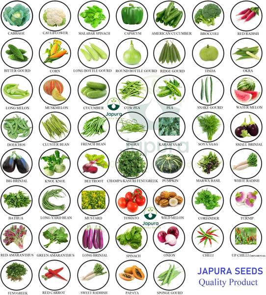 Japura 50 variety vegetable seeds combo pack, vegetable seeds for home garden summer Seed