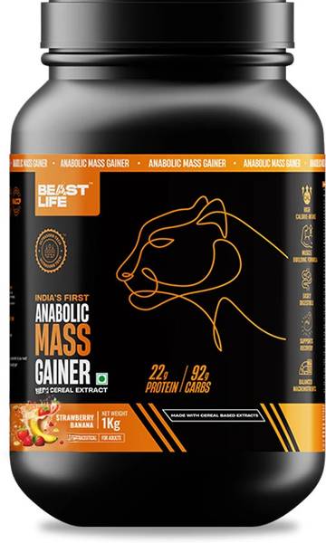 BeastLife High Protein Gainer - No Maltodextrin Weight Gainers/Mass Gainers