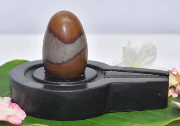 AKNaturals Narmadeshwar Shivling Original/Narmada Shivling Original For Home Decorative Showpiece - 15 cm