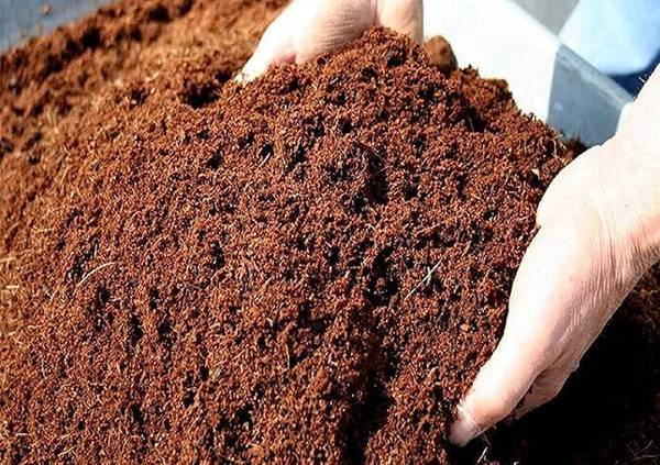 Flipkart SmartBuy Cocopeat powder Potting Mixture