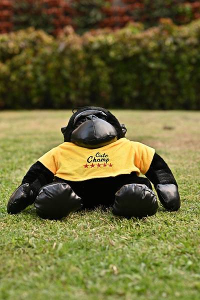 PLUSHJOY Gorilla Soft Stuffed Plush Animal Toy for Kids and Gift Toys - (38cm) - 38 cm