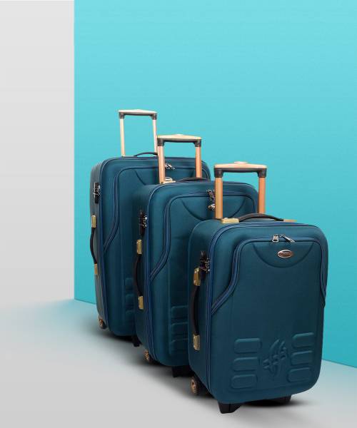Peacock luggage set new arrivals