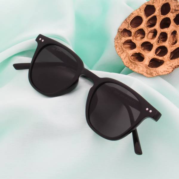 Ted Smith Wayfarer Sunglasses Price History