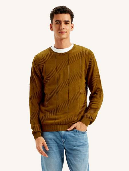 LEVI'S Printed Crew Neck Casual Men Brown Sweater