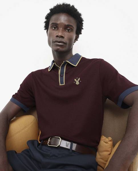 RARE RABBIT Colorblock Men Polo Neck Maroon T-Shirt