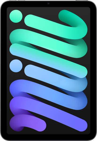 Apple 2024 iPad Mini 256 GB ROM 8.3 inch with Wi-Fi Only (Space Grey)