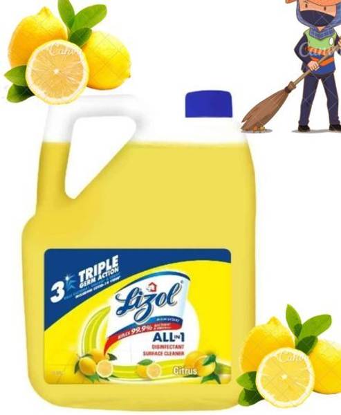 Lizol no. 1 Disinfectant Surface & Floor Cleaner Liquid Lemon Liquid Toilet Cleaner