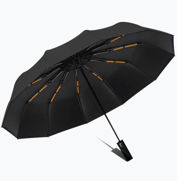 AlexVyan 12 Ribs Large Travel Automatic Umbrella Windproof for Rain & Sun Umbrella