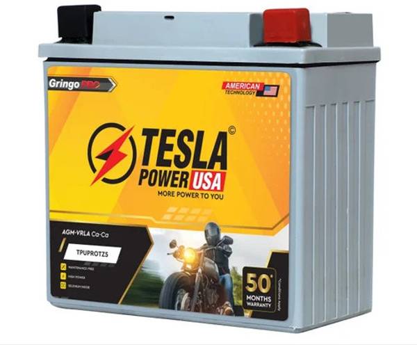 TESLA POWER USA TPUPROTZ5 5 Ah Battery for Bike