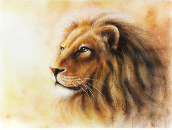 Artzfolio Lion Artwork Peel & Stick Vinyl Wall Sticker 32.4 x 24 inch (82 x 61 cms)