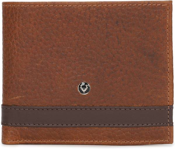 Allen Solly Men Beige Genuine Leather Wallet