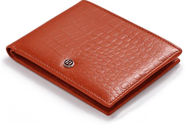 HALDEN Men Formal, Casual Tan Genuine Leather Wallet