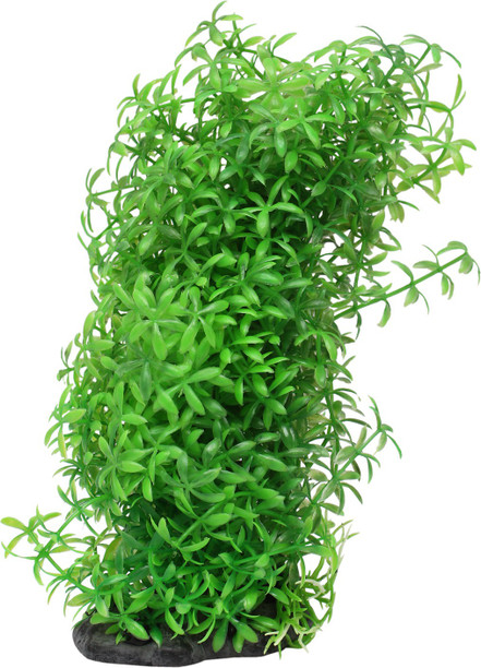 buy aquarium accessories online