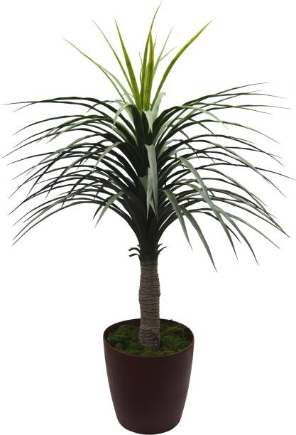 Fourwalls Artificial Plants Buy Fourwalls Artificial Plants