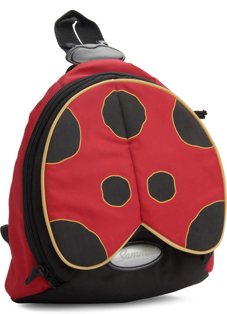 samsonite backpack flipkart