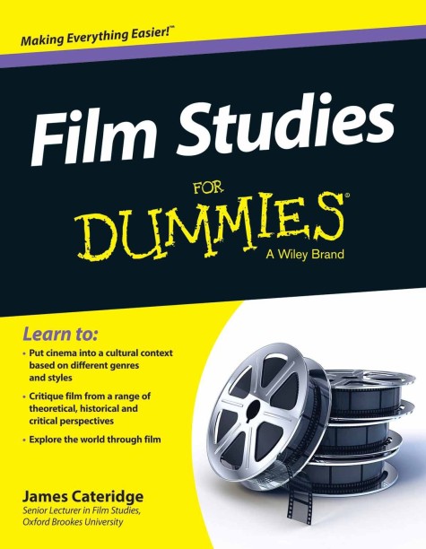 Pay for dissertation dummies books