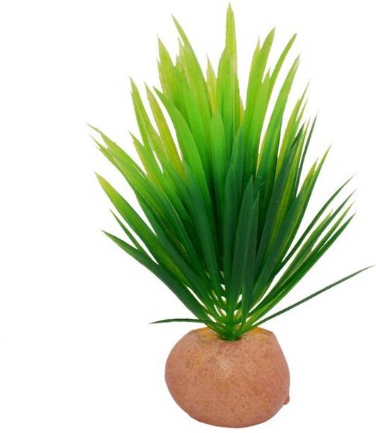 Aquarium Accessories Buy Aquarium Accessories Online At Best