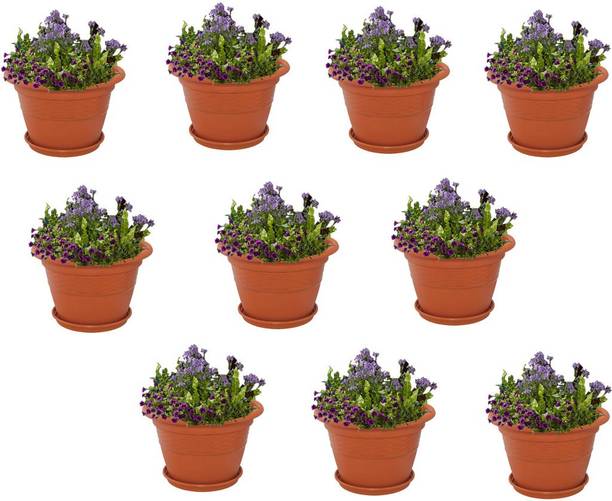 Plant Pots Container Online At Best Prices In India Meded 8 Inch Heavy Duty Plastic Garden Planters With Bottom Tray Pack Of 10