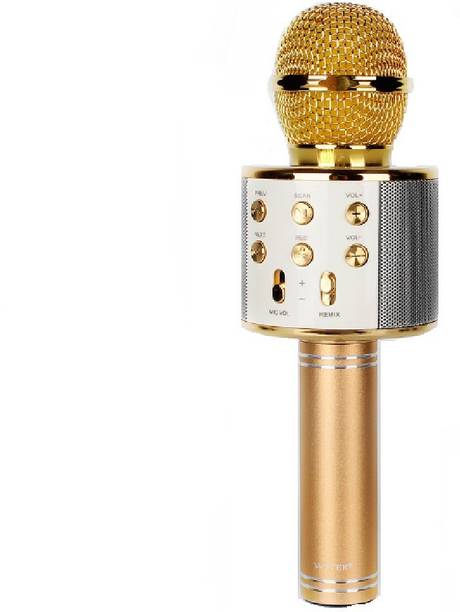 IBS Karaoke Portable Wireless Singing Bluetooth Recording Mic Party Speaker KTV Gold Memory card slot Fm